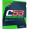 RASANTER C53