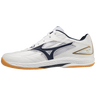MIZUNO WAVE DRIVE 9
